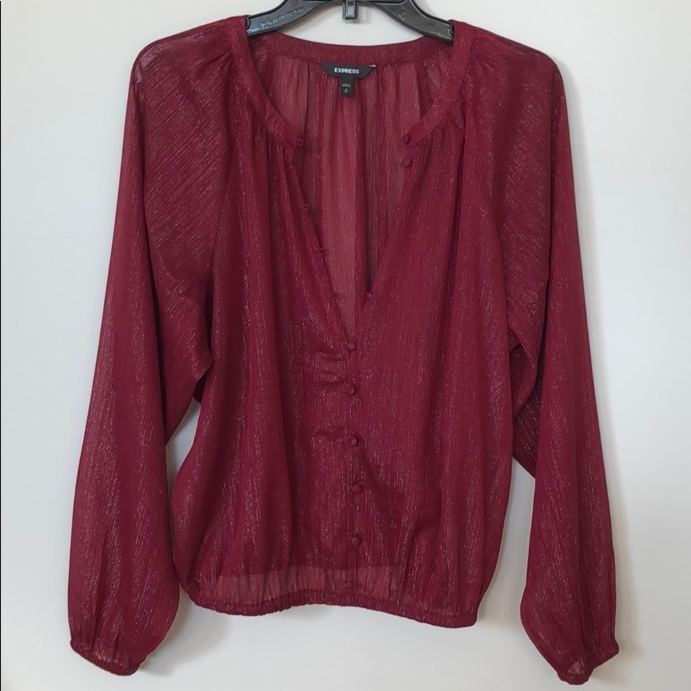Express sheer blouse | size small